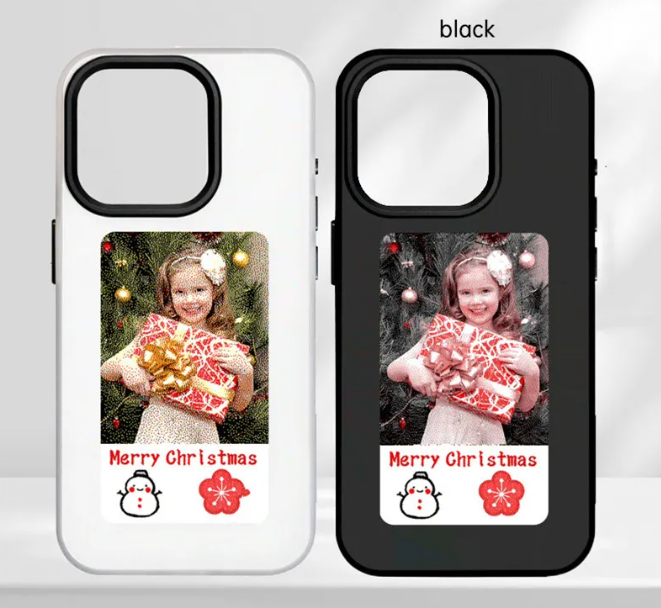 InkView Dual Screen Case
